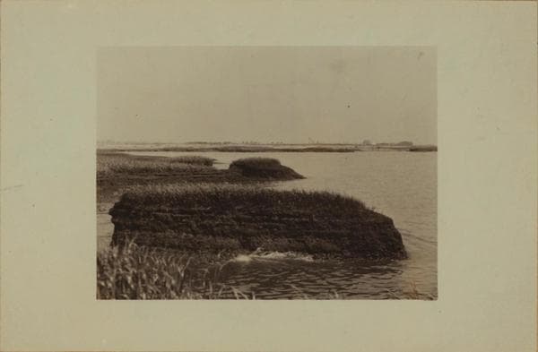 Staten Island - Oakwood Beach - [Salt meadows.], 1926