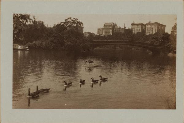 Manhattan: Central Park - The Lake, 1923