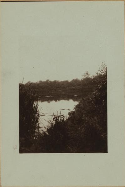 Flagg's pond - Staten Island - [Ernest Flagg property.], 1926