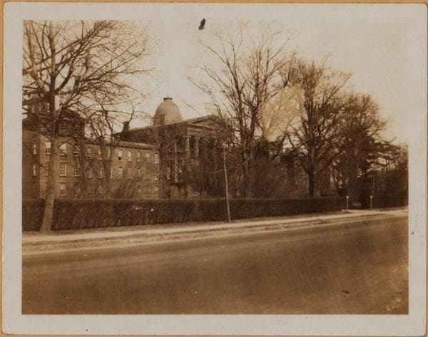 Brooklyn: Clarkson Avenue - Albany Avenue, 1925