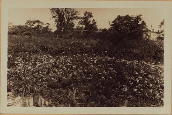 Richmond: Arthur Kill Road - Clay Pit Road, 1929–1930