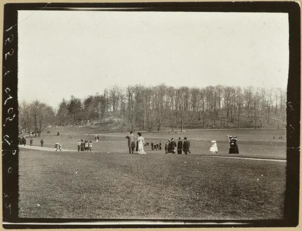Brooklyn: Prospect Park., 1905