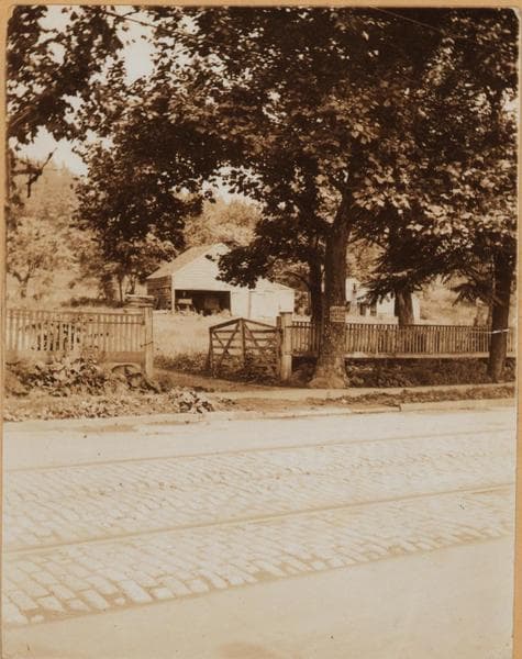 Brooklyn: Jamaica Avenue - Warwick Street, 1895