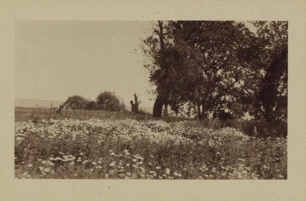 Richmond: Hylan Boulevard - Preston Avenue, 1926