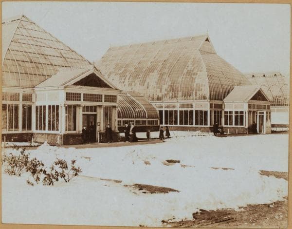Manhattan: Central Park at 110th Street -- Lake and botanical garden, 1905