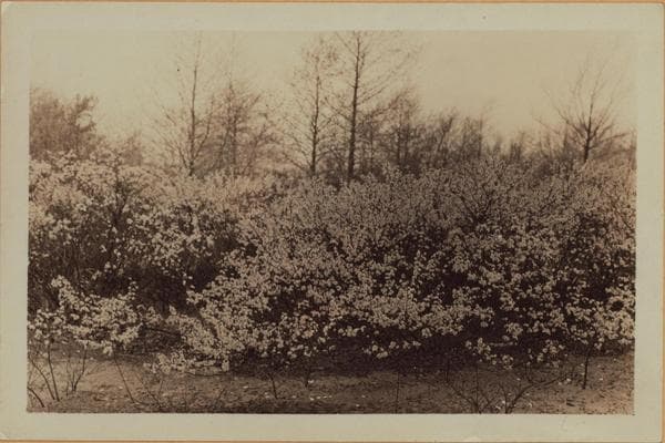 Richmond: Arthur Kill Road - Clay Pit Road, 1929