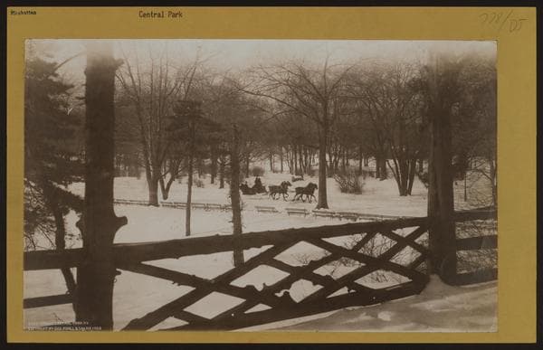 Manhattan: Central Park - Rustic Arbor., 1906