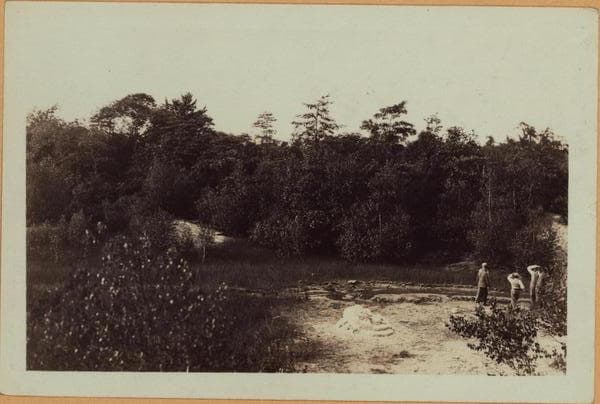 Richmond: Arthur Kill Road - Johnson Avenue, 1927–1928