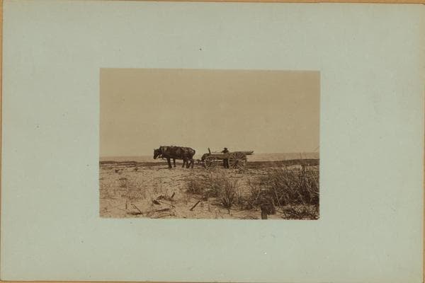 Staten Island - Oakwood Beach., 1925–1926