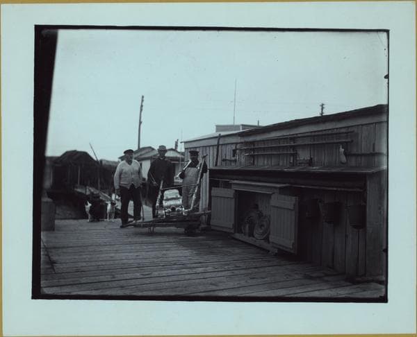 Queens: Ramblersville - [A bit of old Holland...], 1905