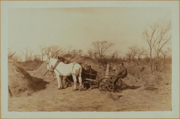 Farming on Staten Island, 1931