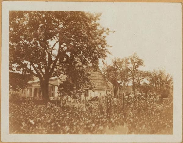 Brooklyn: New Utrecht Avenue - 84th Street, 1924–1925