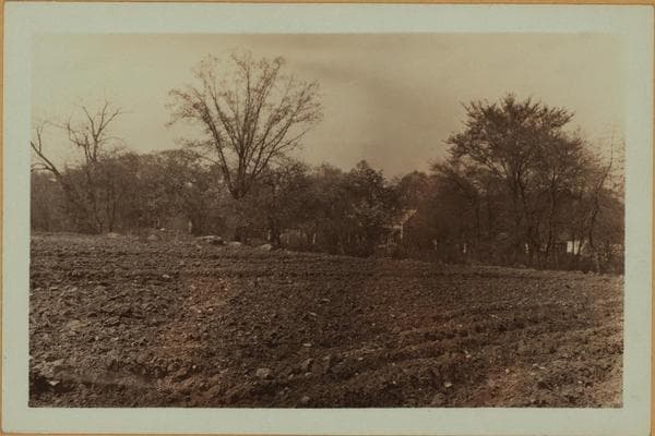 Farming on Staten Island, 1928–1929