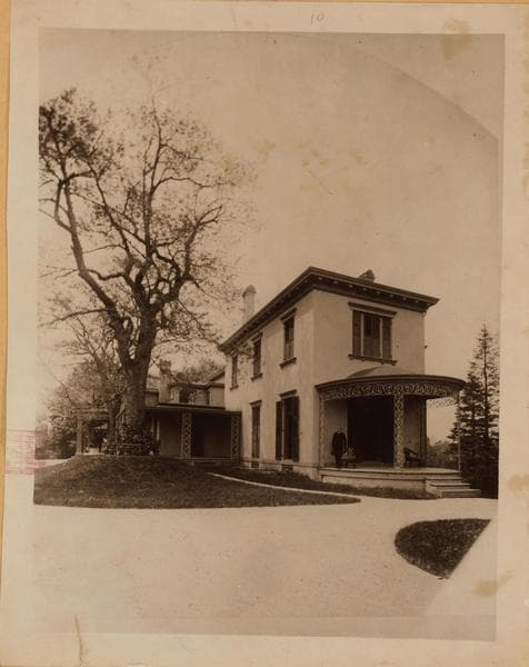 Bronx: Castle Hill Avenue - Norton Avenue, 1900