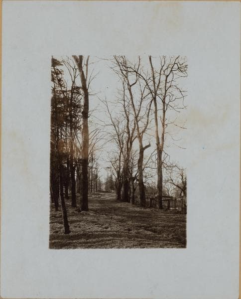 Manhattan: Fort Washington Aven - 183rd Street, 1904