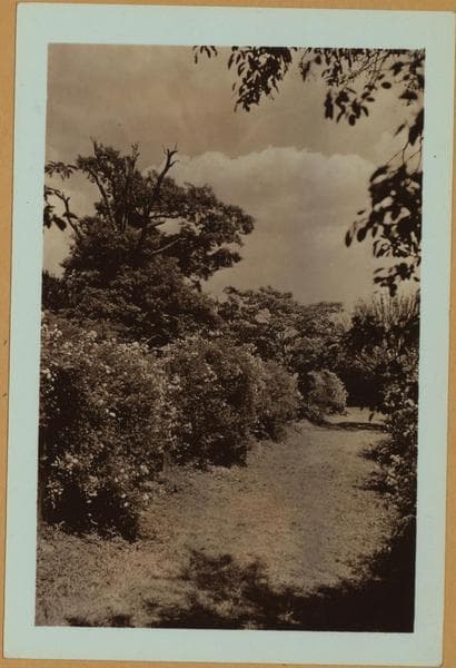 Colleges and Universities - Wagner College - Staten Island [Richmond.], 1932–1937