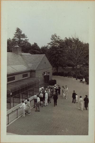 Richmond: Barrett Park - [Barrett Park Menagerie.], 1937