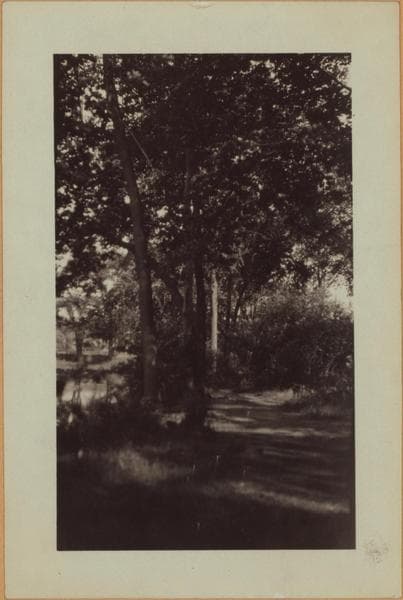 Richmond:] Staten Island - Clove Lakes Park - Clove Lake., 1905–1926