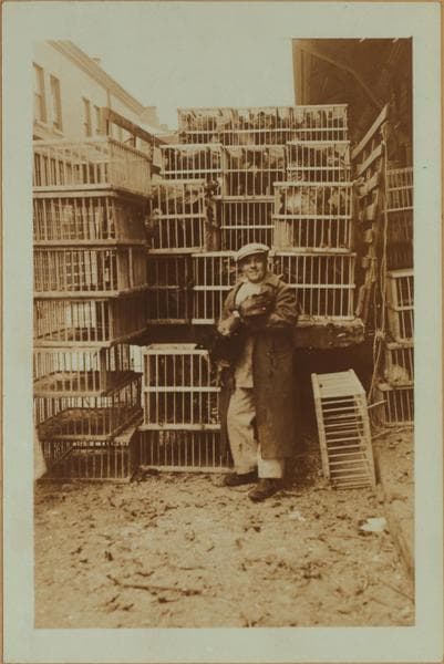 Occupations - Peddlers - Foodstuffs - Poultry., 1934–1935