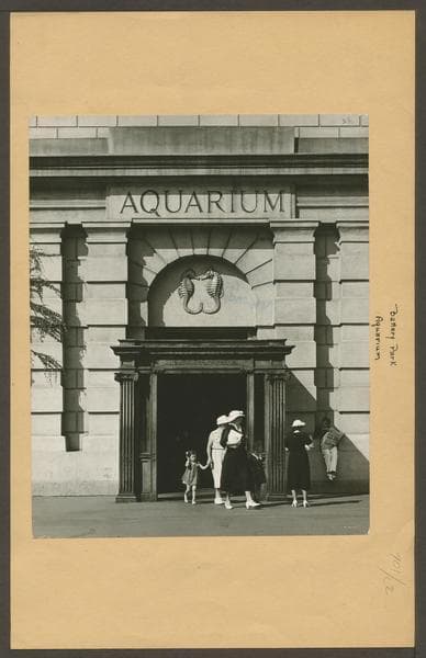 Manhattan: Battery Park - Aquarium., 1938
