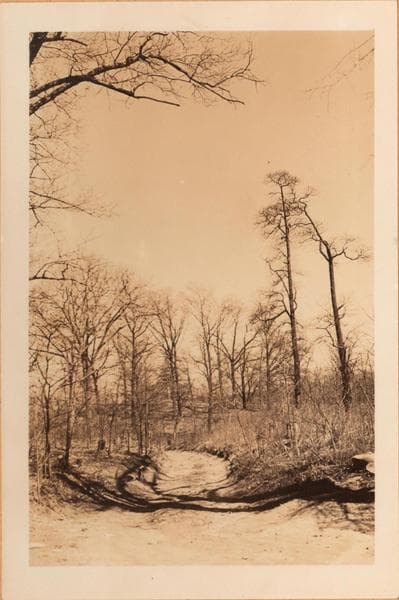 Bronx: Arlington Avenue - 256th Street (West), 1937