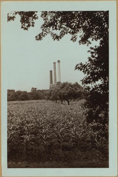 Richmond: Richmond Terrace - Tysen Street, 1931–1938