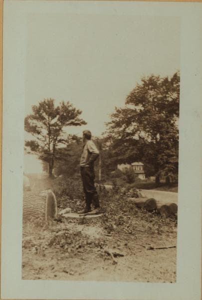 Lumbering on Staten Island., 1924