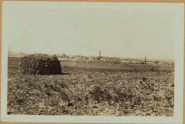 Islands - North Brother Island - [Riverside Hospital in Bronx.], 1931–1937