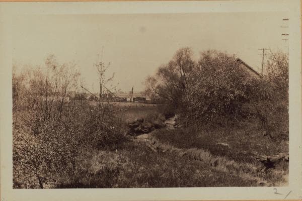 Richmond: Arthur Kill Road - Winant Avenue, 1929