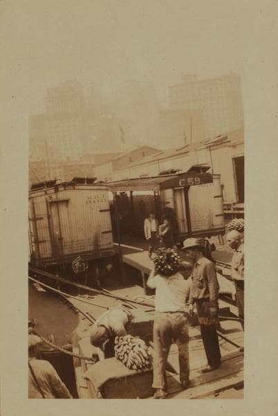 Workmen and laborers - [Unloading bananas on the East River, near financial district.], 1925