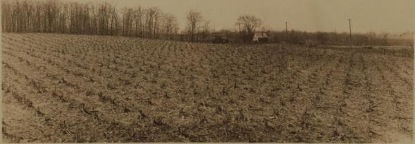 Farming (Queens), 1927