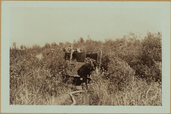 Fires - Staten Island [Richmond - Fighting brush fire at Winant Avenue.], 1937