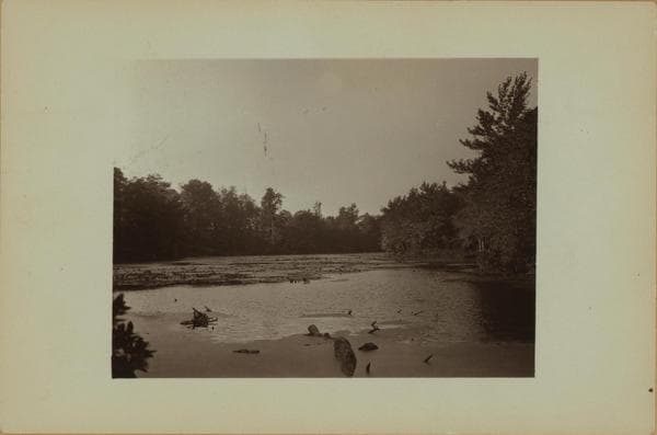 Cameron Lake - Staten Island, 1911
