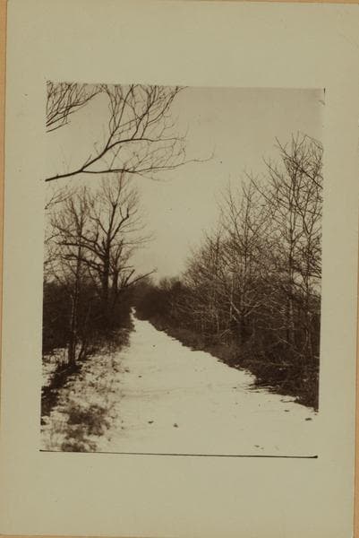 White's Pond - Staten Island, 1921