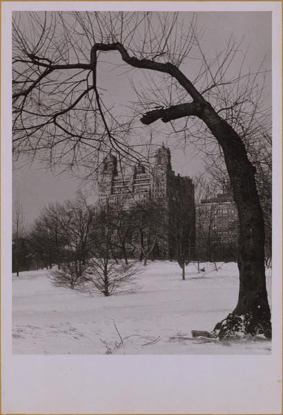 Manhattan: Central Park West - 81st Street