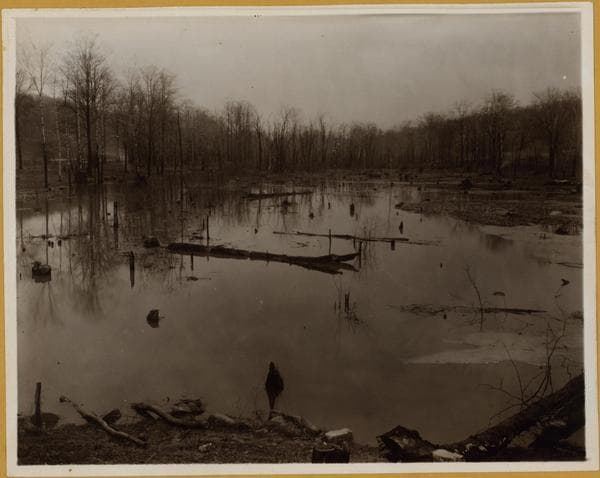 Bronx: Van Cortlandt Park., 1931