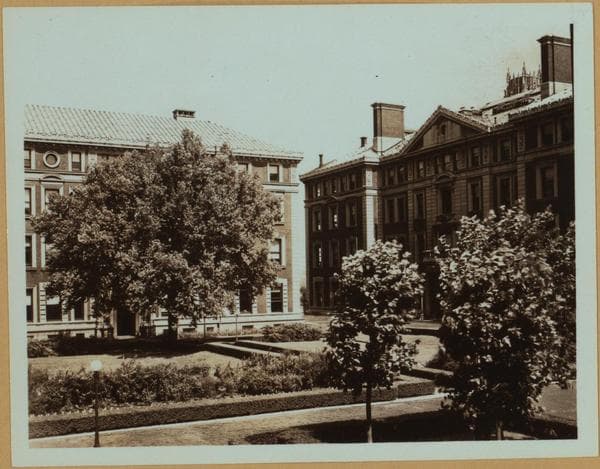 Colleges and Universities - Columbia University - [Havemeyer Hall.], 1937