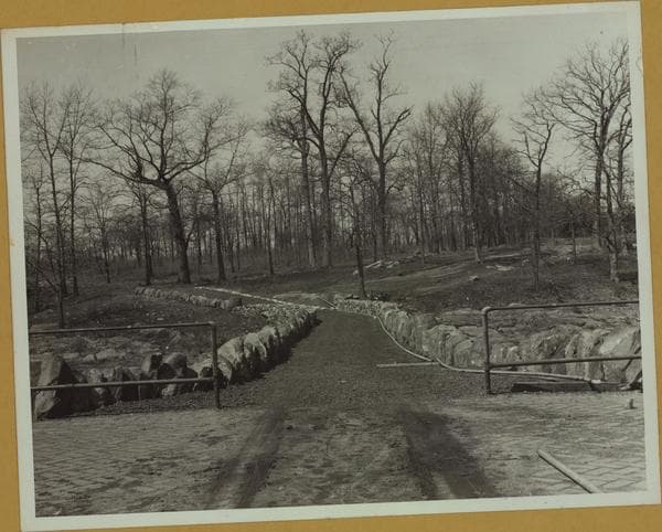Islands - Hunter Island - [Hunter Island Bridge in Bronx.], 1931