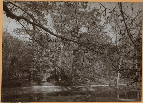 Bronx: Bronx Park - the Bronx River., 1936