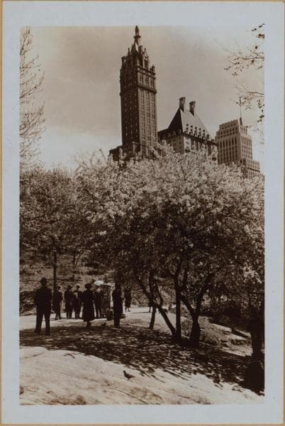 Manhattan: Central Park - Cliffs., 1938