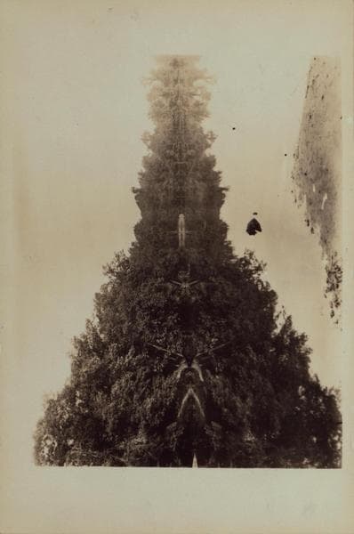 Richmond: [Staten Island] - Clove Lakes Park - Brook's Lake., 1905–1924