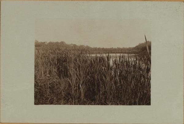 Flagg's pond - Staten Island - [Ernest Flagg property.], 1926