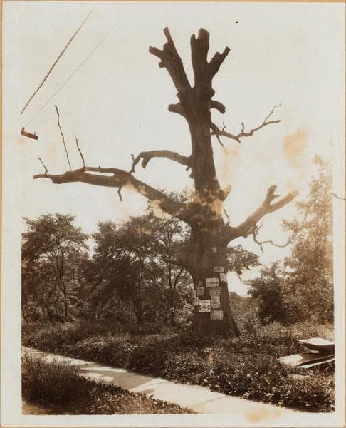 Bronx: Westchester Avenue - Hobart Avenue, 1926