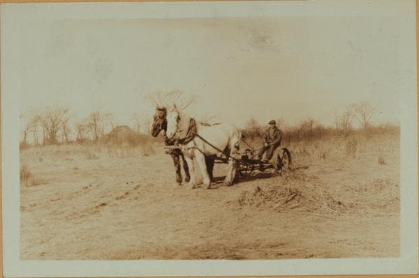 Farming on Staten Island, 1931