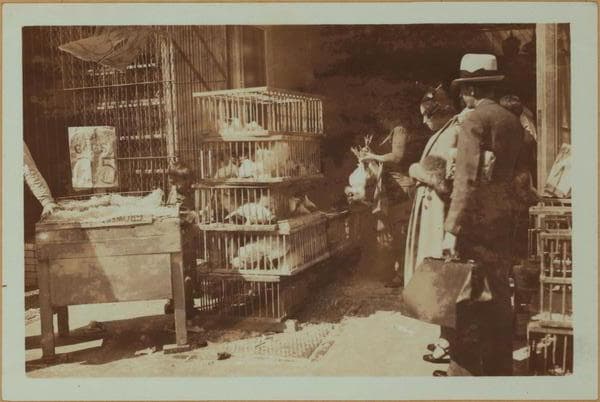 Occupations - Peddlers - Foodstuffs - Poultry., 1934–1935
