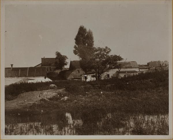 Manhattan: 117th Street (West) - Lenox Avenue, 1893