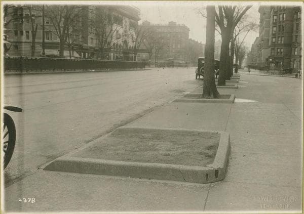 114th Street (West) - Seventh Avenue, northeast corner -