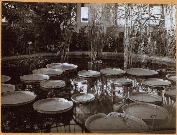 Bronx: Bronx Park - Botanical Garden., 1936