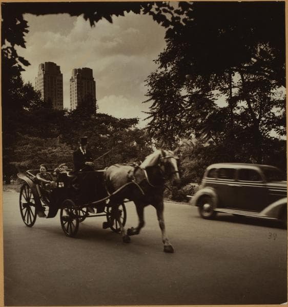 Transportation - [A horse drawn open barouche in Central Park.], 1938