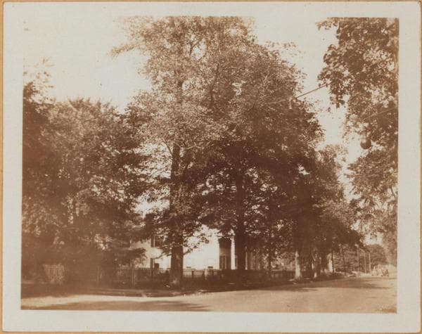 Brooklyn: Fort Hamilton - 100th Street, 1928–1933